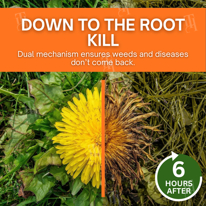 🏆🌿AEXZR® 2-in-1 Max Power Herbicide-🌿Dual-Action Weed Killer in 6 Hours☠️