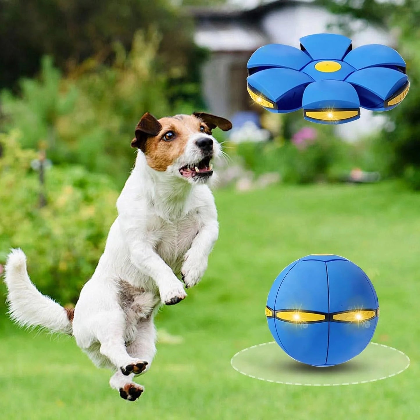 🌈Kids’ Magic Metaball —🐕 bouncy ball & flying saucer for family and pets🌈