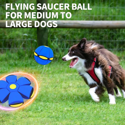🌈Kids’ Magic Metaball —🐕 bouncy ball & flying saucer for family and pets🌈